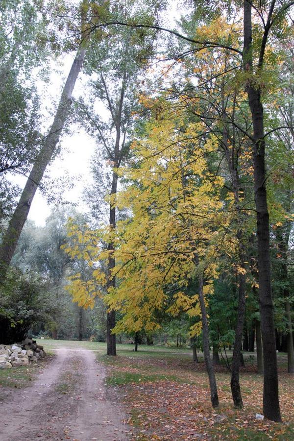 Kastelyszallo Mateszalka Bed & Breakfast Luaran gambar
