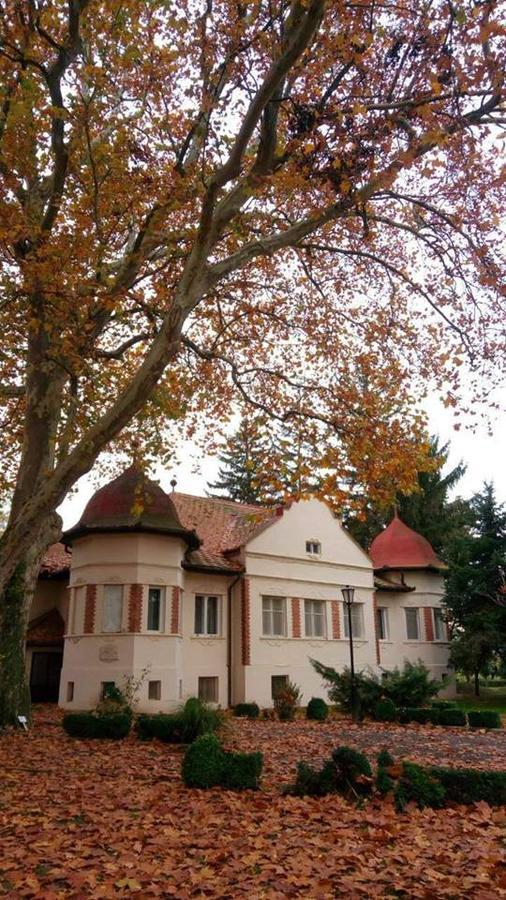 Kastelyszallo Mateszalka Bed & Breakfast Luaran gambar